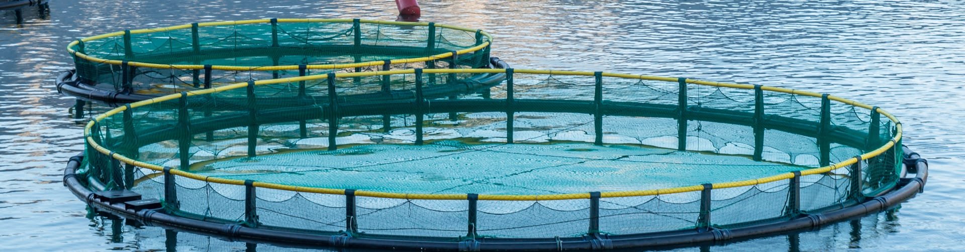Netze für Aquakultur | Cittadini