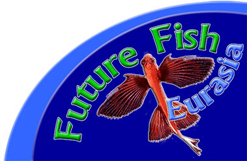Future Fish Eurasia 2007 | Cittadini