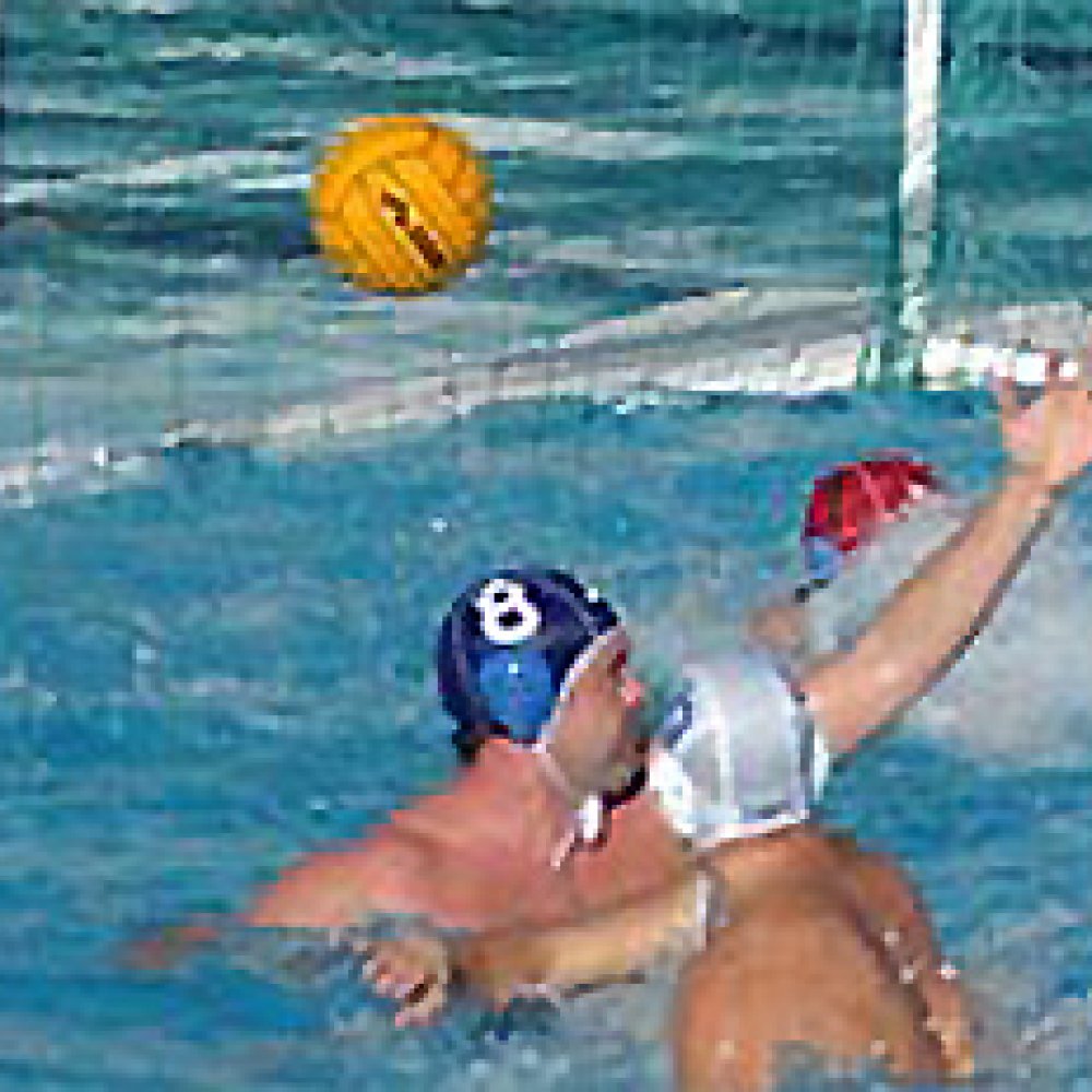 Water-polo Nets | Cittadini