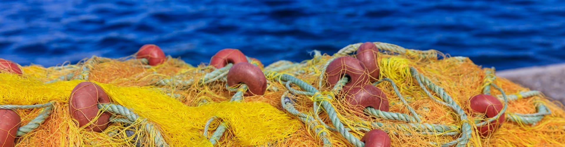 Filets pour la pêche | Cittadini