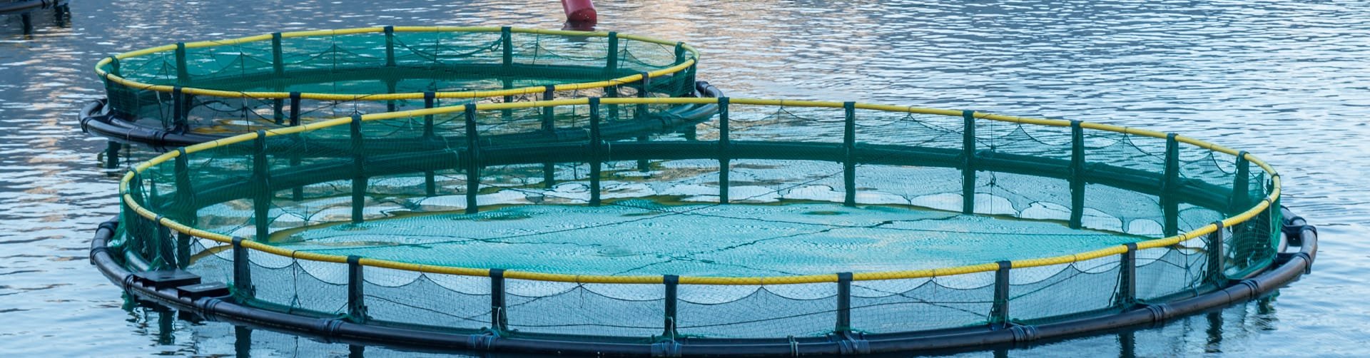 Netze für die Aquakultur