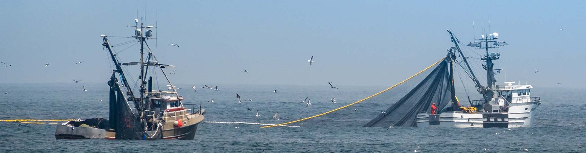 Redes de pesca, hilos, trenzas y cuerdas Cittadini