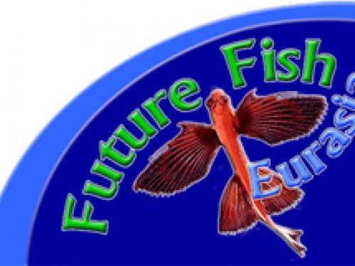 Future Fish Eurasia 2007 | Cittadini